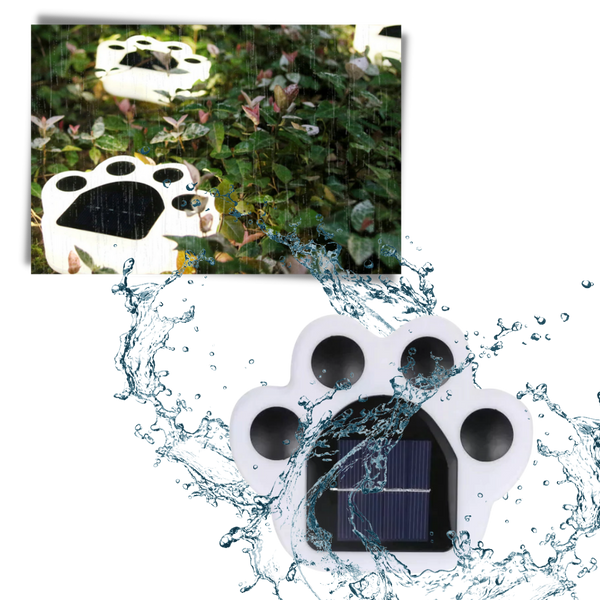 Paw Print Solar Pathway Light With Bright LED And IP65 Waterproof