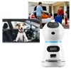 Smart Auto-Feeding Pet Dispenser for Reliable Mealtimes