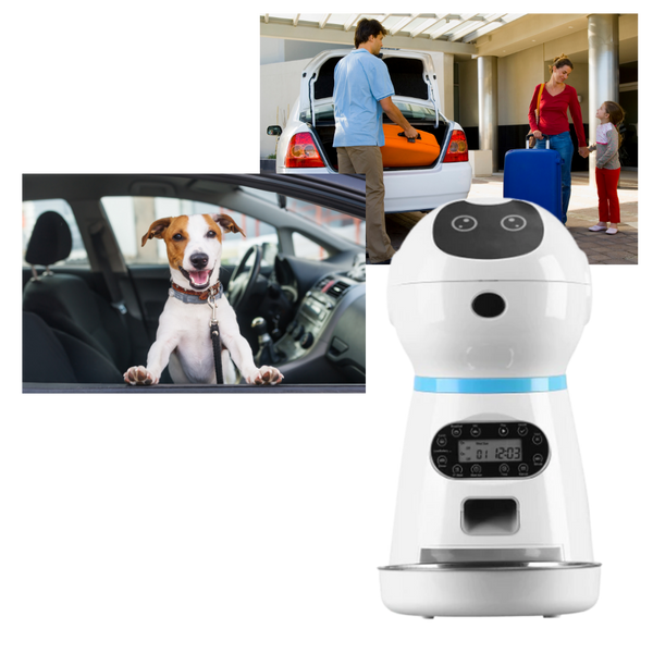 Smart Auto-Feeding Pet Dispenser for Reliable Mealtimes