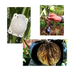 Set Of 3 Air Layering Plant Boxes For Healthy Root Growth