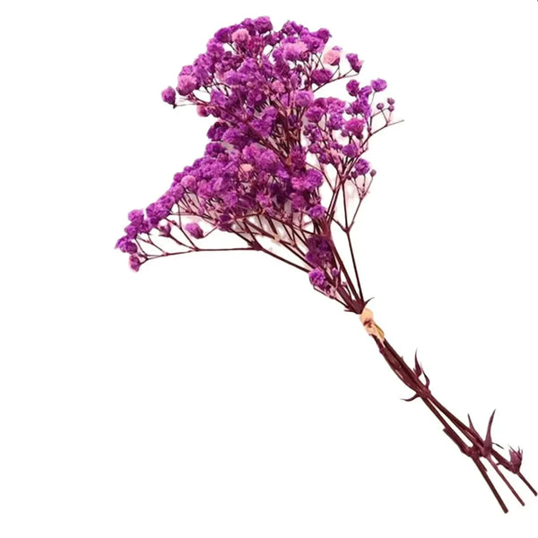 Natural Dried Baby's Breath For Wedding Floral Arrangements