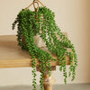 Artificial Faux Succulent Ivy Vines For Indoor Home And Office Decor