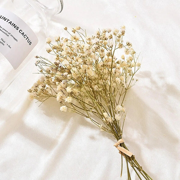 Natural Dried Baby's Breath For Wedding Floral Arrangements