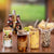Reusable Bamboo Lid Glass Travel Cup For Hot And Cold Drinks