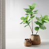 Realistic Faux Fig Branches With Leaves Indoor Outdoor Decor