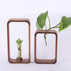 Hollow Plant Propagator Tool For Cloning Cuttings And Seed Starts