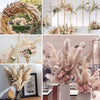 Dried Pampas Grass Plumes 10 Piece Set Natural Elegant Home Decor