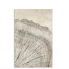Elegant Tree Rings Abstract Canvas Wall Art For Modern Homes