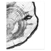 Natural Rustic Tree Stump Canvas Wall Art With Tree Rings For Home Decor