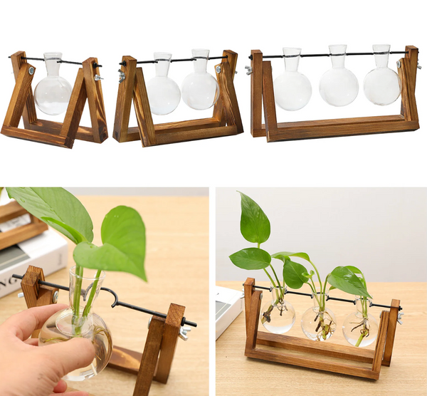 Transparent Plant Propagating Stand For Modern Indoor Gardens
