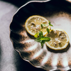 Elegant Coastal Shell Dinner Plates Premium Ceramic Tableware