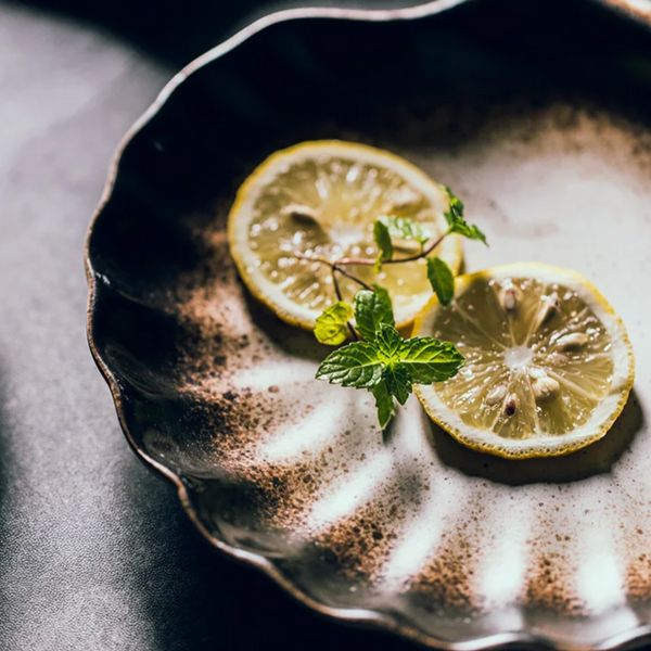 Elegant Coastal Shell Dinner Plates Premium Ceramic Tableware
