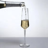 Premium Unbreakable Acrylic Champagne Flutes 4 Piece Clear Set