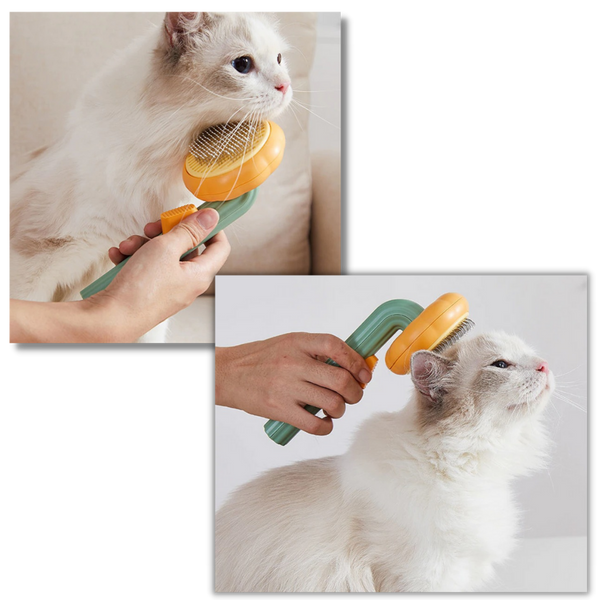 Pumpkin Shaped Self Cleaning Pet Grooming Brush With Pain Free Bristles