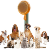 Pumpkin Shaped Self Cleaning Pet Grooming Brush With Pain Free Bristles