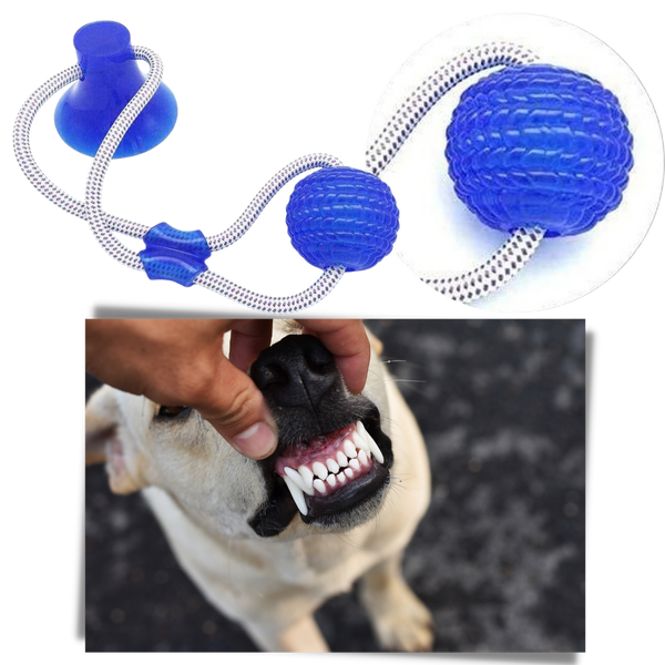 Interactive Suction Cup Ball Toy For Dogs Anxiety Relief And Exercise