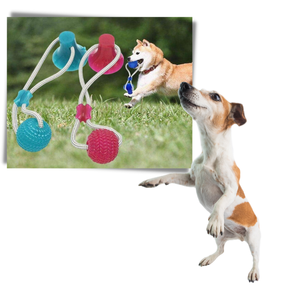 Interactive Suction Cup Ball Toy For Dogs Anxiety Relief And Exercise