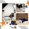 Bat Wing Cat Mask for Cats Comfortable Halloween Accessory