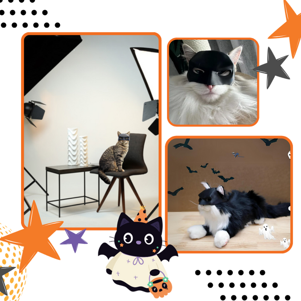 Bat Wing Cat Mask for Cats Comfortable Halloween Accessory