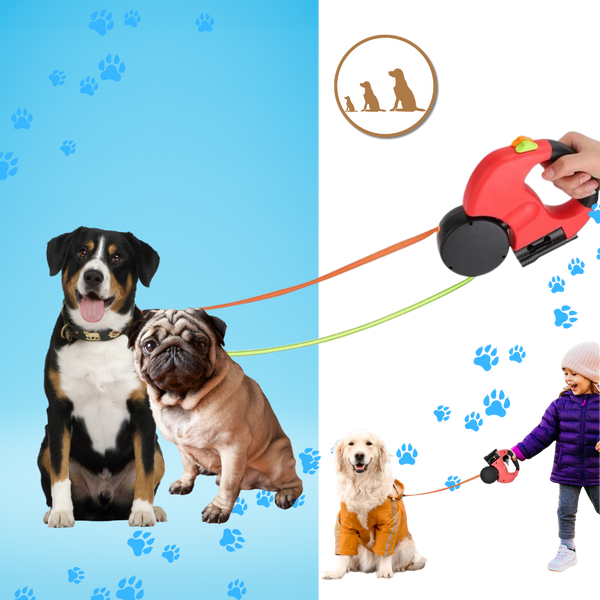 Anti-Tangle Retractable Dog Leash for Small to Medium Dogs