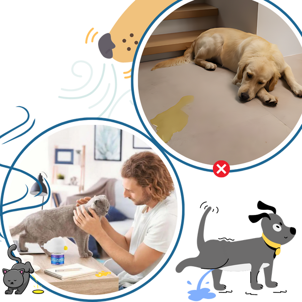 Pet Anxiety Relief Device With Natural Pheromones For Calmer Pets