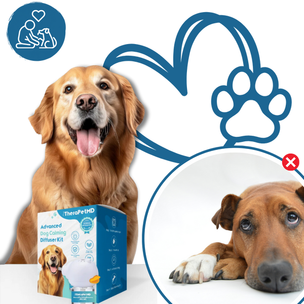 Pet Anxiety Relief Device With Natural Pheromones For Calmer Pets