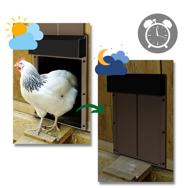 Light Sensor Battery Powered Chicken Coop Door for Safe and Easy Access