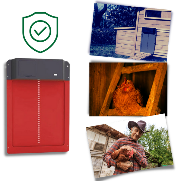 Light Sensor Battery Powered Chicken Coop Door for Safe and Easy Access