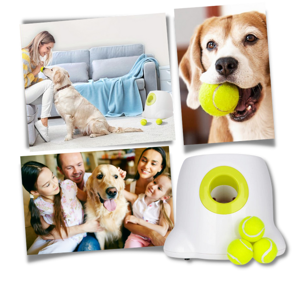 Smart Ball Launcher For Dogs Delivers Effortless Fetch Fun