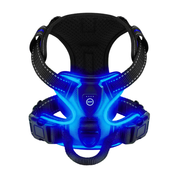Light Up Dog Harness With Night Visibility And 3 LED Modes