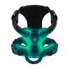 Light Up Dog Harness With Night Visibility And 3 LED Modes