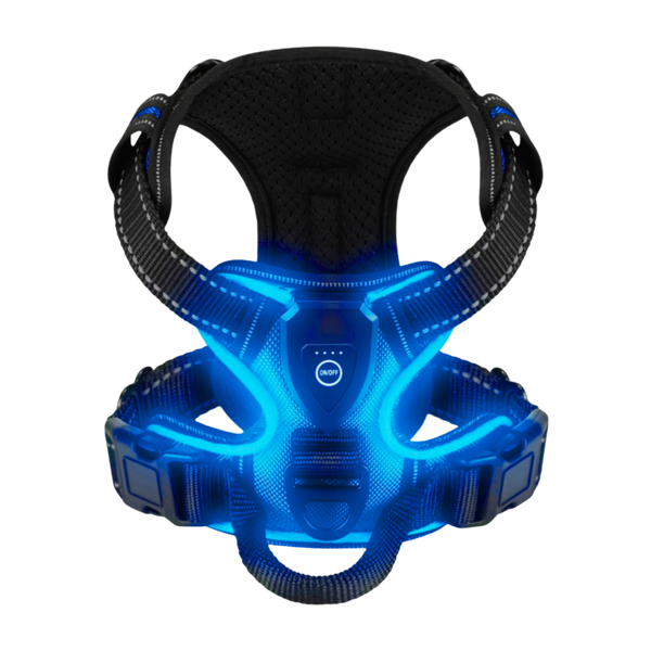 Light Up Dog Harness With Night Visibility And 3 LED Modes