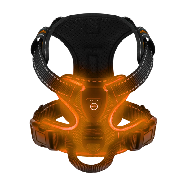 Light Up Dog Harness With Night Visibility And 3 LED Modes