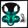 Light Up Dog Harness With Night Visibility And 3 LED Modes