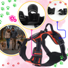 Light Up Dog Harness With Night Visibility And 3 LED Modes