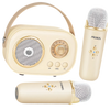 Kids Bluetooth Mini Karaoke System With Dual Microphones And Effects