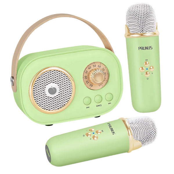Kids Bluetooth Mini Karaoke System With Dual Microphones And Effects