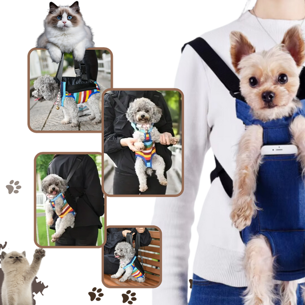 Breathable Lightweight Pet Carrier Bag With Mesh Panels For Cats And Dogs