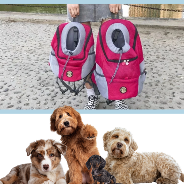 Breathable Dog Carrier Backpack For Comfortable Daily Walks