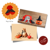 Dracula Halloween Pet Costume With Adjustable Comfort Fit