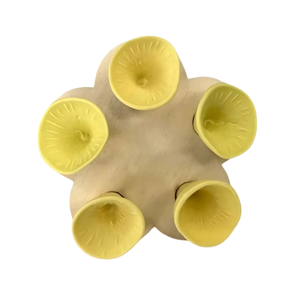 Stylish Bee Cup For Easy Hydration Of Pollinators Long Lasting