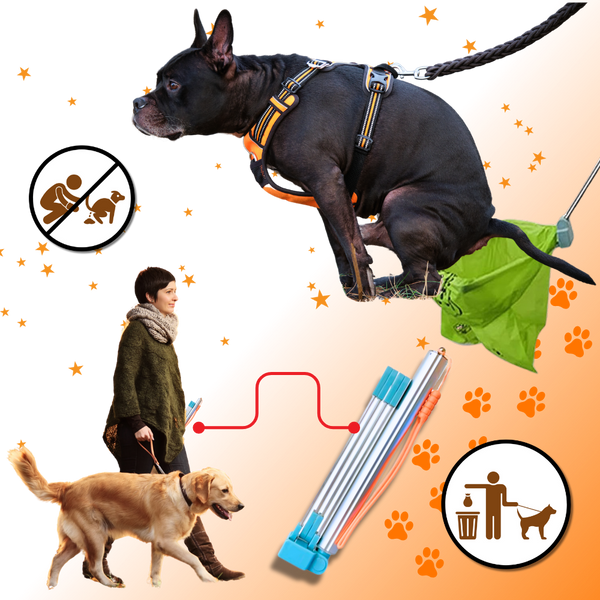 Eco Friendly Dog Pooper Scooper With Long Handle And Self Adhesive Bags