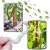 Reusable Clip-On Plant Support for Gentle Vertical Growth of Vines