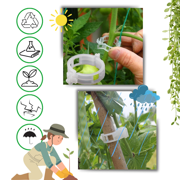 Reusable Clip-On Plant Support for Gentle Vertical Growth of Vines