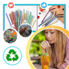 Easy Cleaning Stainless Steel Drinking Straw Set With Brushes And Bag