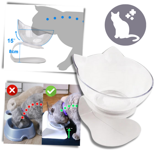 Elevated Cat Feeding Bowl With Ergonomic Comfort Design
