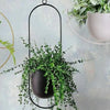Modern Minimalist Iron Hanging Plant Pot Metal Indoor Outdoor Decor