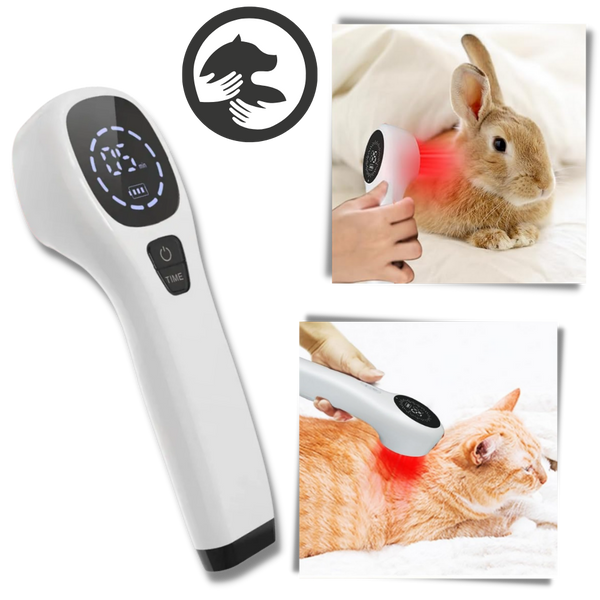 Pet Infrared Therapy Device Handheld Pain Free Healing And Mobility