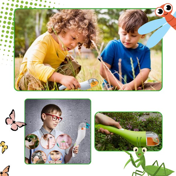 HD Insect Viewing Trap For Kids Safe Portable Nature Observation
