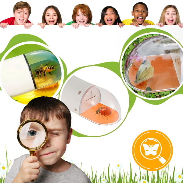 HD Insect Viewing Trap For Kids Safe Portable Nature Observation